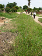 Image "bute-voie-cfu.png"